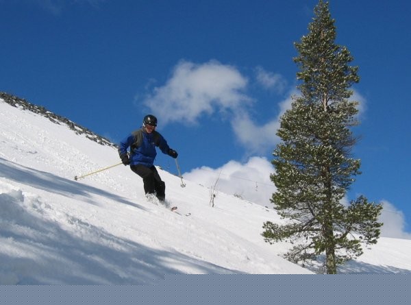 Click for the original image